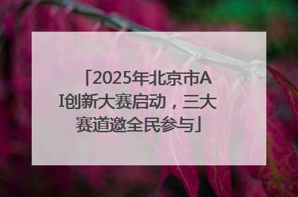 2025年北京市AI创新大赛启动，三大赛道邀全民参与